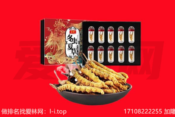 东方回收虫草.jpg